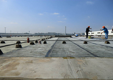 上海化學(xué)建材協(xié)會(huì)防水材料及技術(shù)分會(huì)成立，公司董...